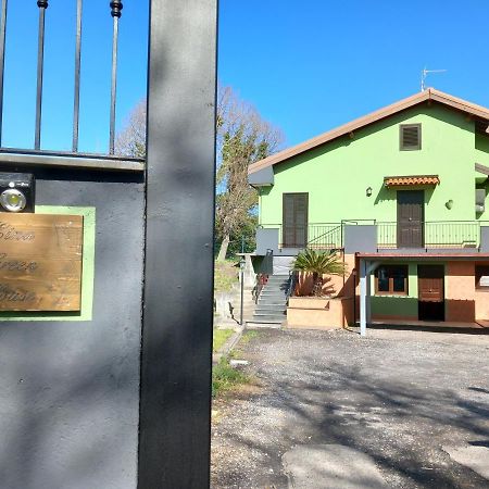 Etna Green House Villa Zafferana Etnea Bagian luar foto