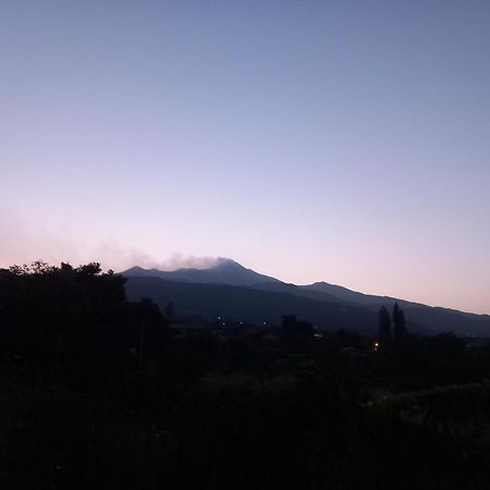Etna Green House Villa Zafferana Etnea Bagian luar foto