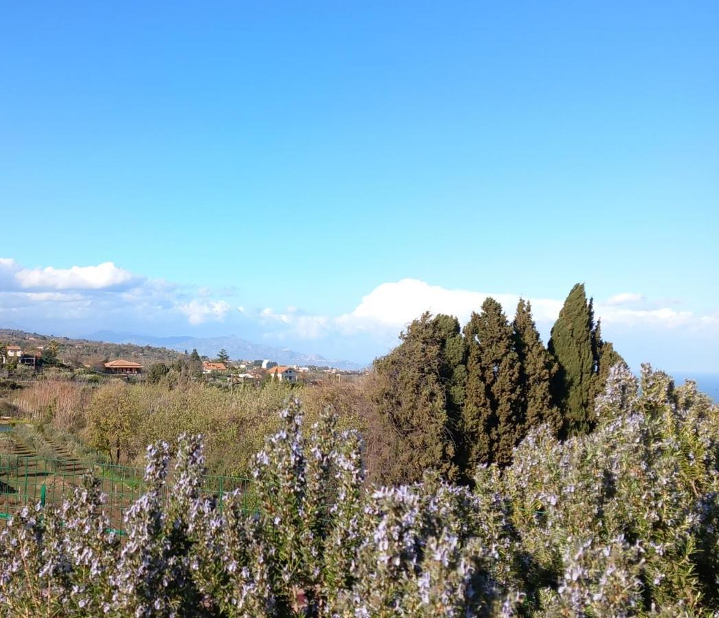 Etna Green House Villa Zafferana Etnea Bagian luar foto