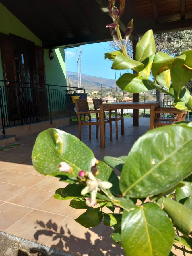 Etna Green House Villa Zafferana Etnea Bagian luar foto