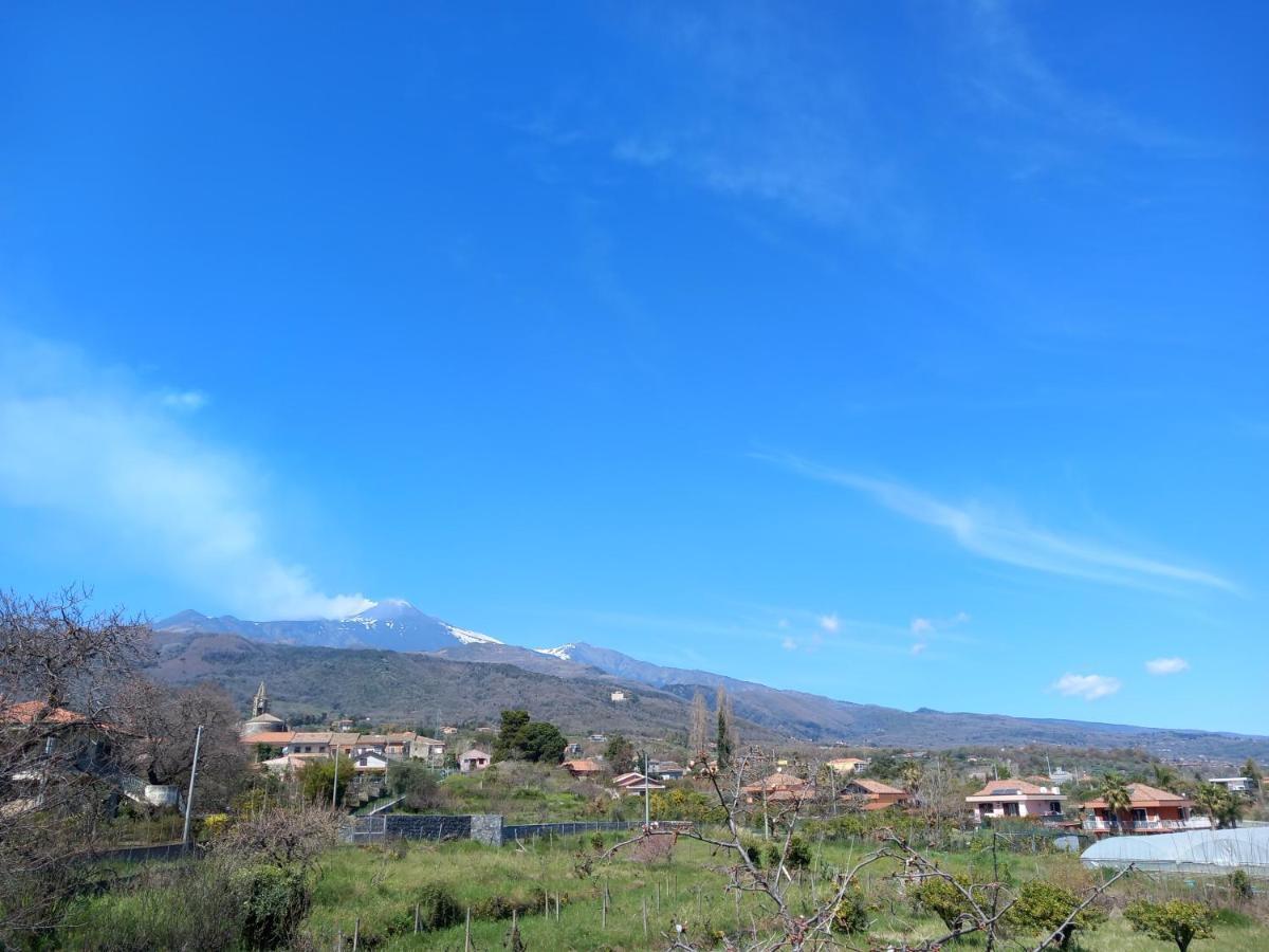 Etna Green House Villa Zafferana Etnea Bagian luar foto