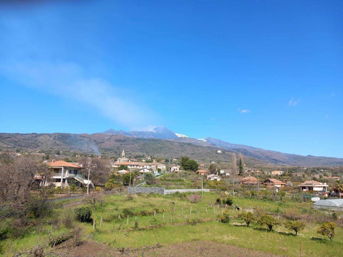 Etna Green House Villa Zafferana Etnea Bagian luar foto