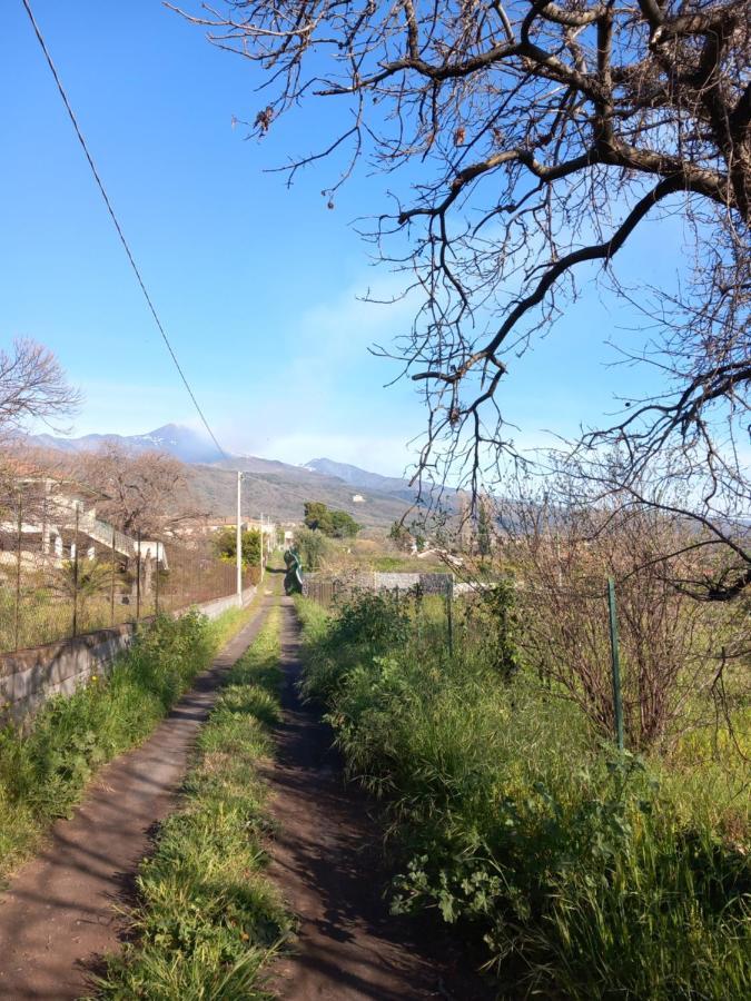 Etna Green House Villa Zafferana Etnea Bagian luar foto