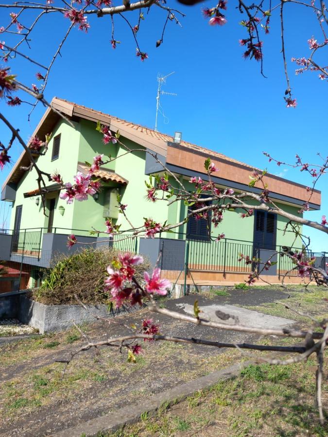 Etna Green House Villa Zafferana Etnea Bagian luar foto