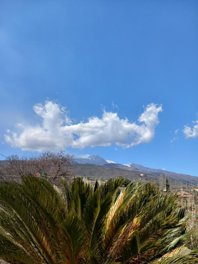 Etna Green House Villa Zafferana Etnea Bagian luar foto