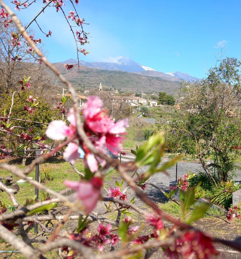 Etna Green House Villa Zafferana Etnea Bagian luar foto