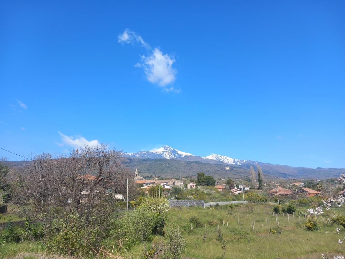 Etna Green House Villa Zafferana Etnea Bagian luar foto