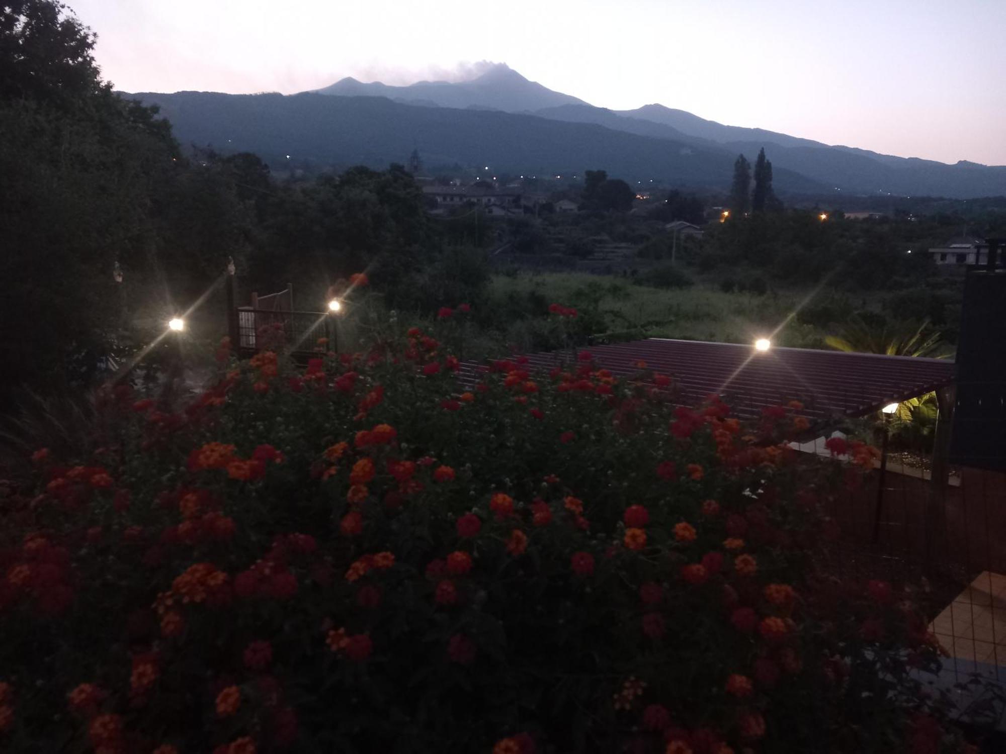 Etna Green House Villa Zafferana Etnea Bagian luar foto