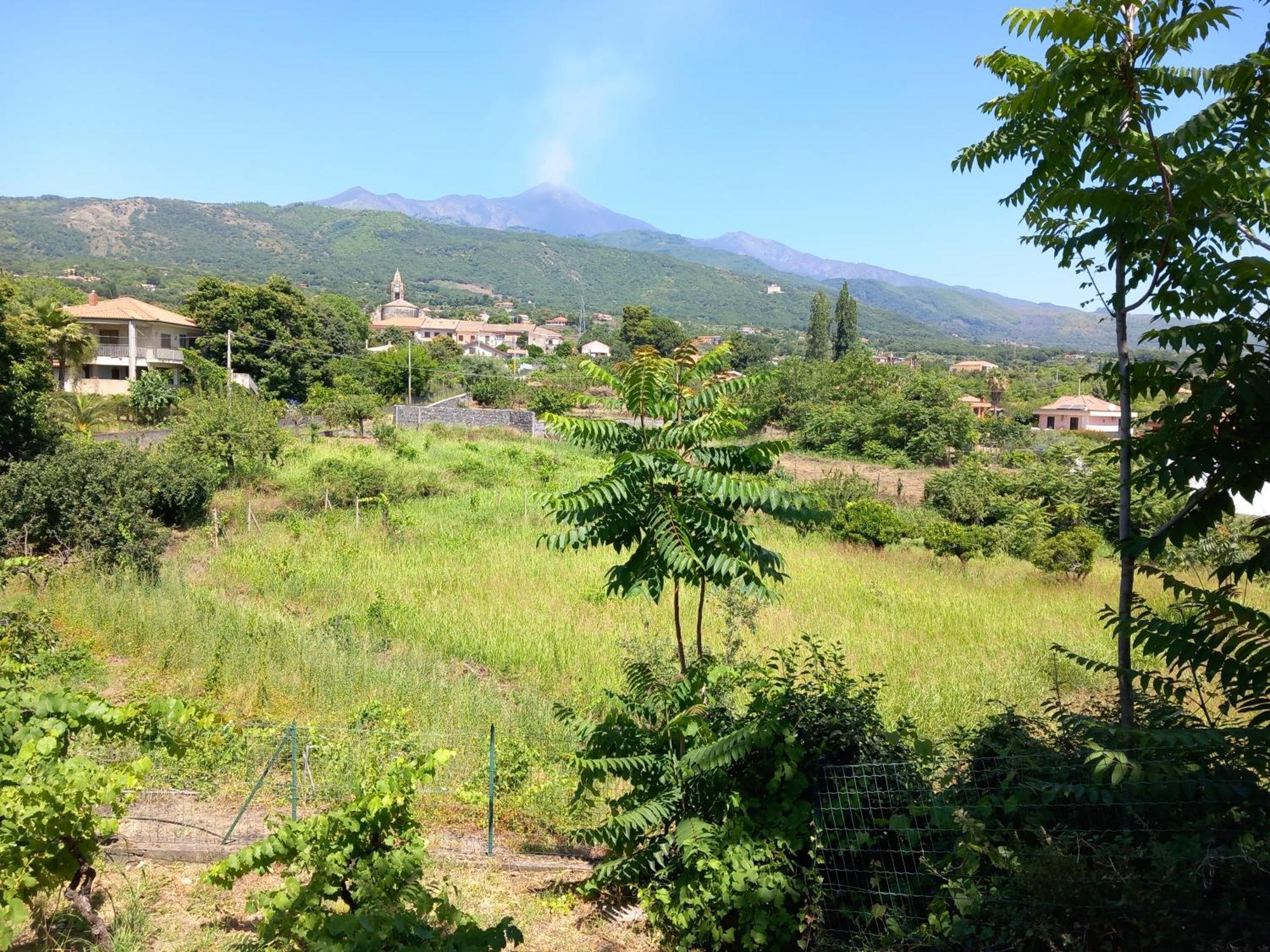 Etna Green House Villa Zafferana Etnea Bagian luar foto