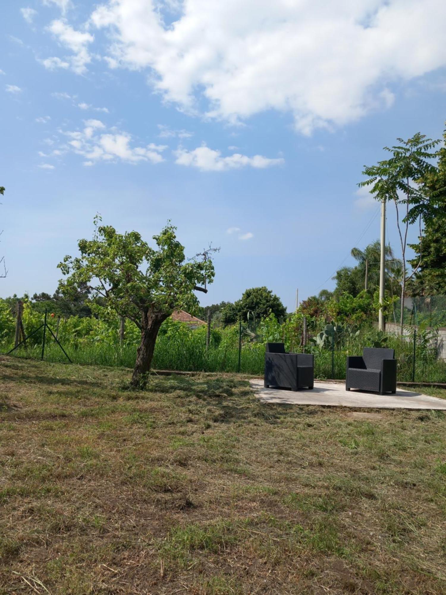 Etna Green House Villa Zafferana Etnea Bagian luar foto